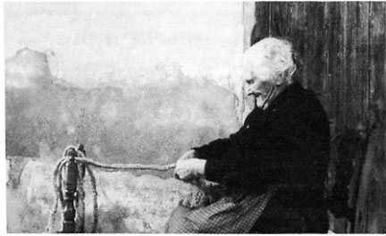 Teresa A  Martí Ventura