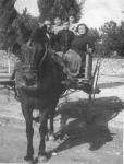 Josep Piñana i Maria Roig