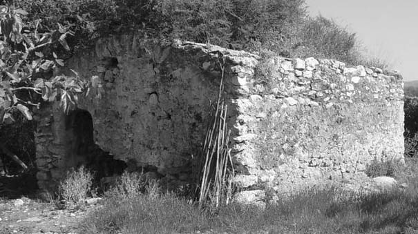 Cucarolla de les Doblones