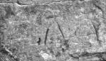 Làpida medieval
