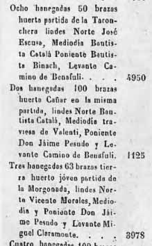 Tarongera i Murgonà