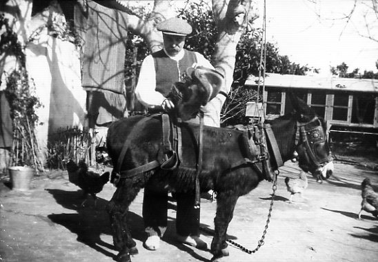 Aparellant el rocí
