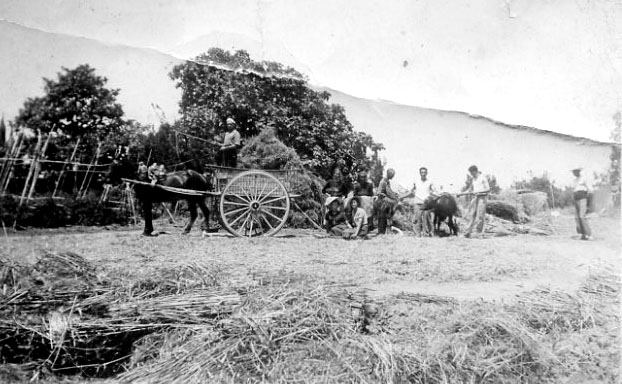 Era al Bosc
