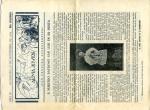 Revista Alma Joven