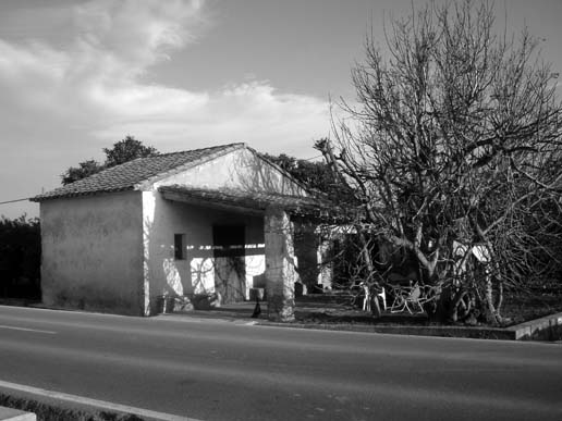 Taverna la Vela