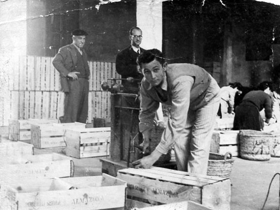 Manuel Piñana