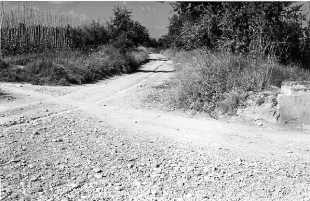 Caminàs de Musclera