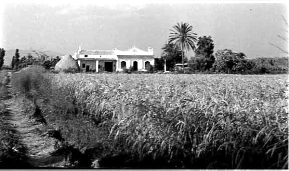 Finca d'Ortega